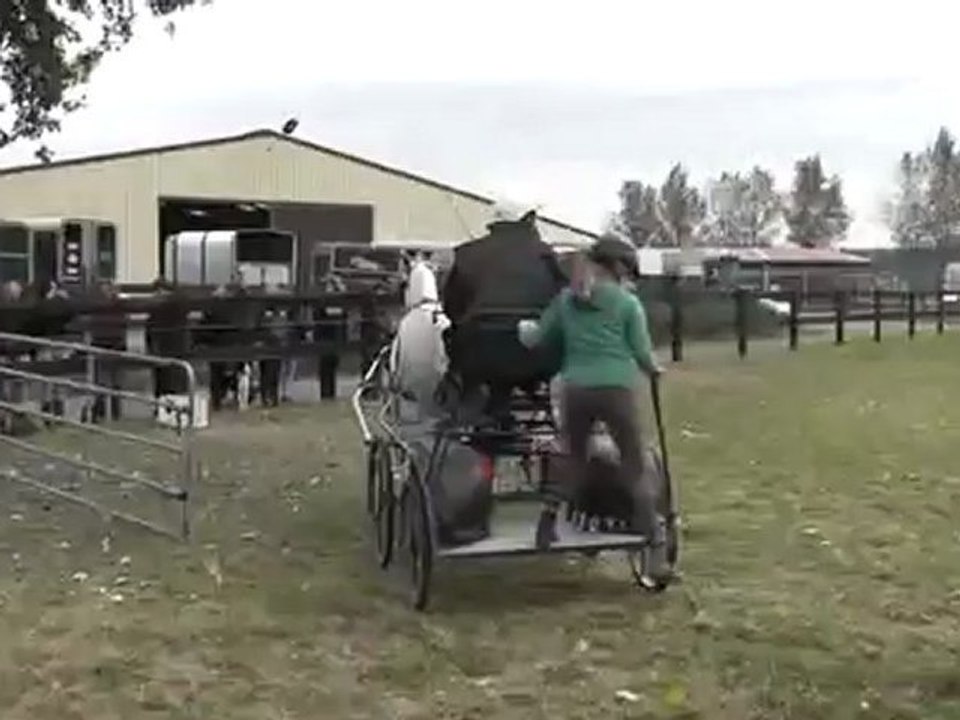 Maniabilité Milton de la Hocq 2