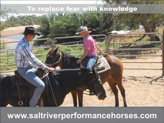 Saltriver performance horses Clinic