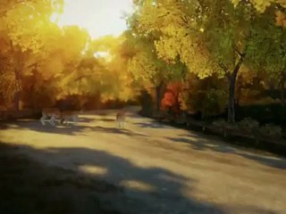 Forza Horizon - Behind the Scenes Trailer #2