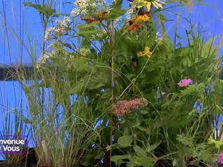 Bienvenue Chez Vous du 25 septembre 2012 Partie 2