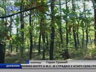 Dnevnik, 25. septembar 2012.