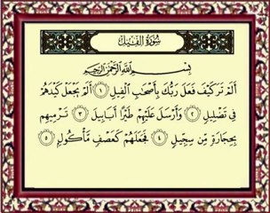105 Al Fil سورة الفيل - ماهر المعيقلي