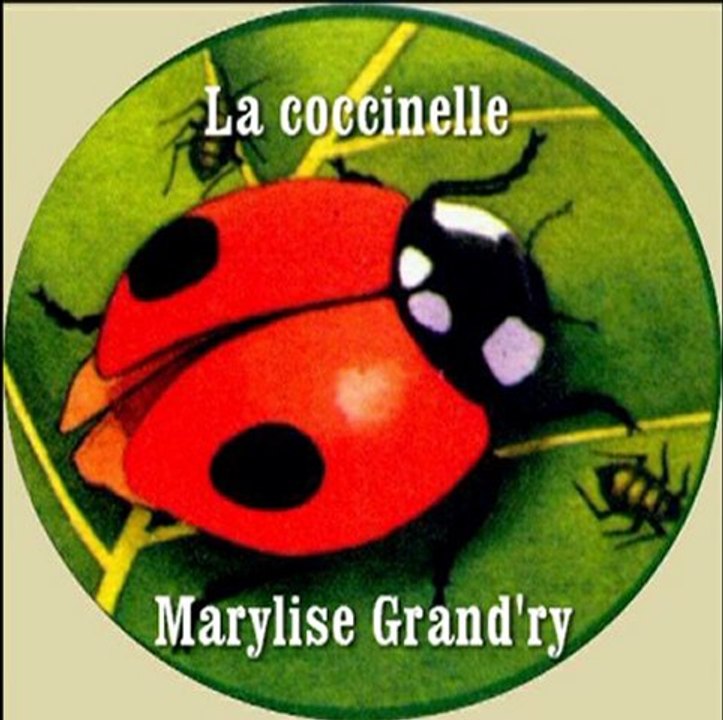 La coccinelle