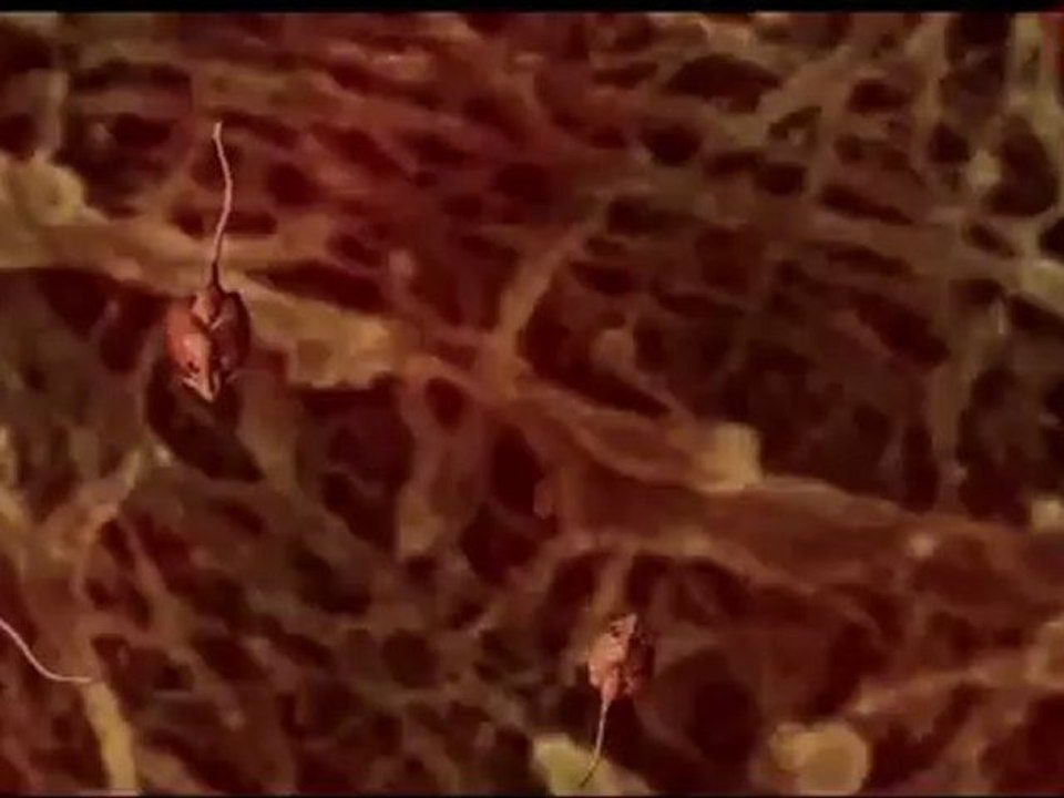 Resident Evil 4: Again With the Stupid Snake! (Part 9)