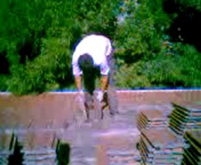 Video0004