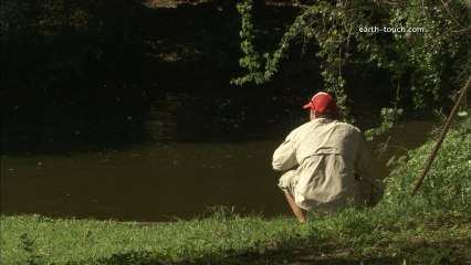 Cameraman attacked by crocodile