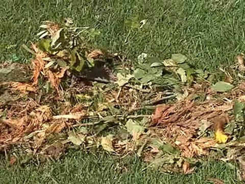 stato di calamita naturale