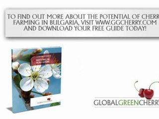 Global Green Cherry - Cherry Farming in Bulgaria