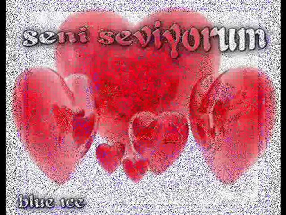 Seni Severdim