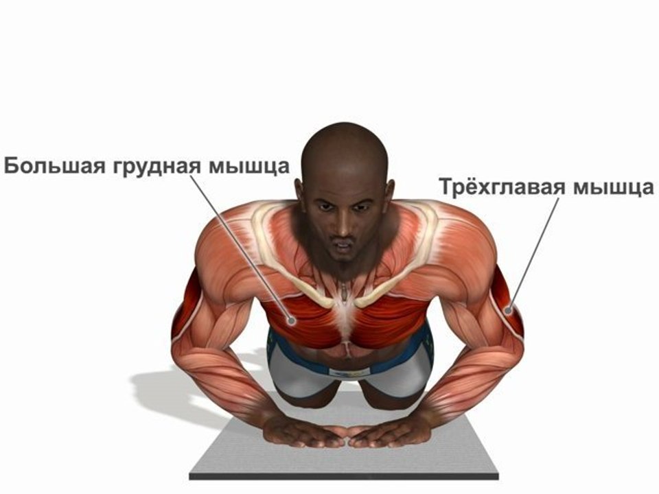 Алмазные отжимания (с коленей)