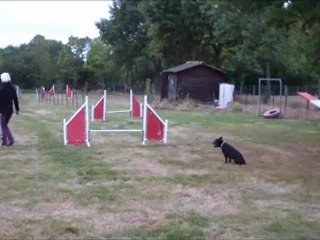 Vodka Running ECV 2012-09-25