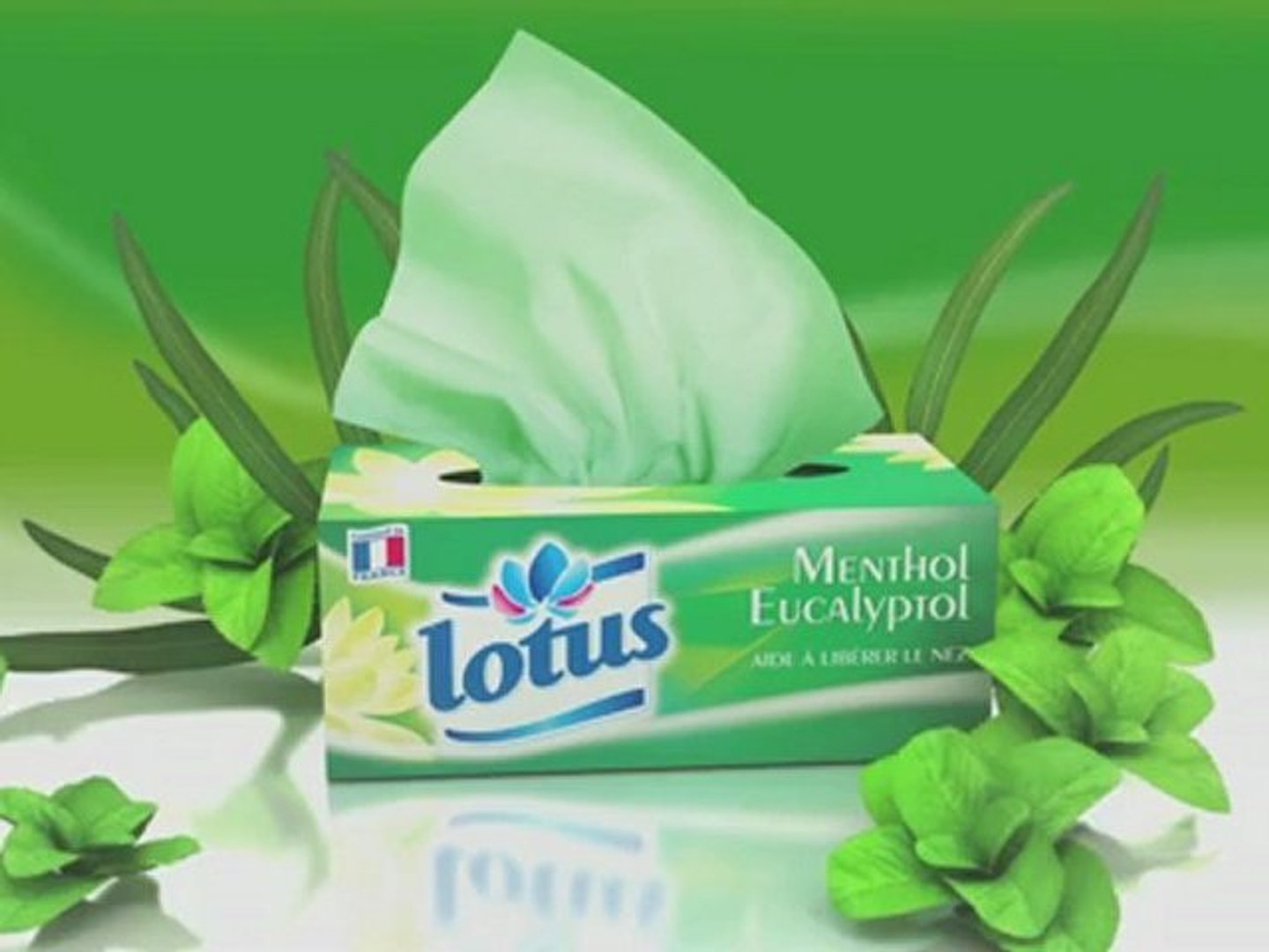 Les mouchoirs Lotus® - Hiver 2012 - Vidéo Dailymotion