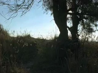 Trailer español Las Olas