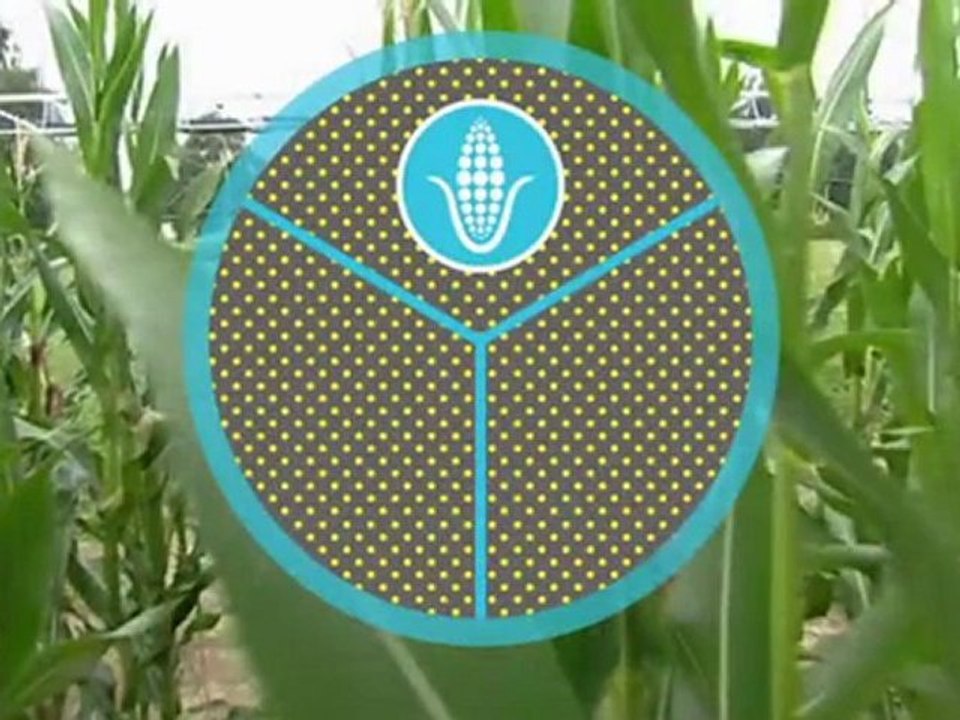Agricultura y cambio climático: ¿cómo pueden proteger el clima los agricultores? | global 3000