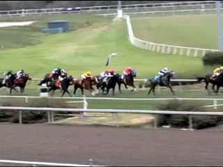 Fast Company (2 DVD Set) by Damian Nieman (DVD) - Magic Trick