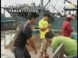 中国メディア「釣魚島出漁で７０万元の収益」