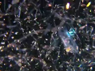 Research ship discovers and films one million new plankton