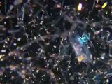 Research ship discovers and films one million new plankton