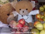 Teddybears Pictures | Teddy Bear Photos