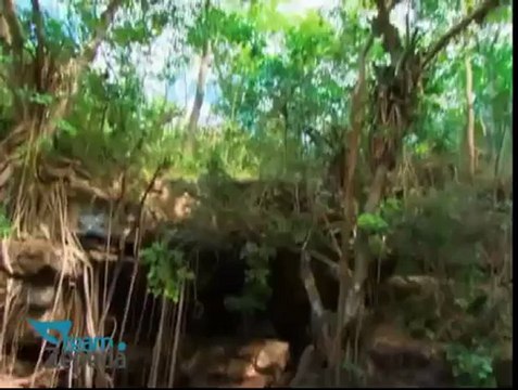 PROMO 1 Muy Pronto te sumergirás en un Abismo De Pasión @davidzepeda1