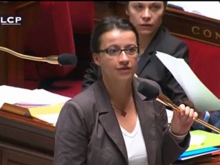 Cécile Duflot à Bernard Accoyer : "appelez-moi Madame LA ministre"