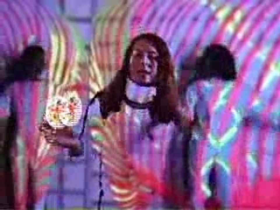 X-RAY POP:LES PETITS MAMMIFERES