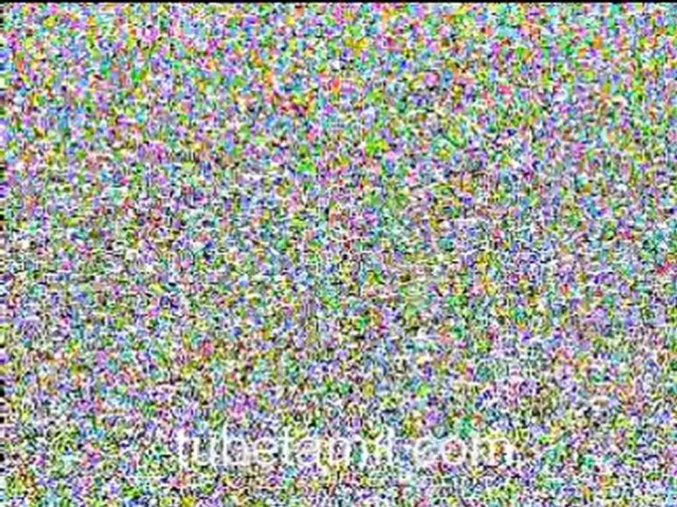 Untitled 1704_1