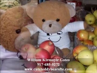 Teddybear Pictures | Teddy Bear Pictures