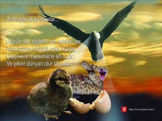 buharada gül varmı