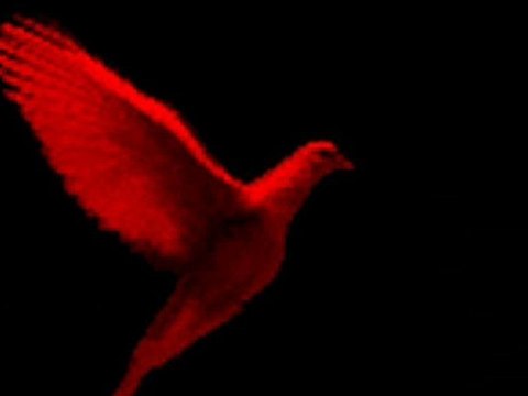 Kınayı Getir Aney Parmağın Batır Aneyyy Bu Gece Misafirem Al Koynunda Yatır