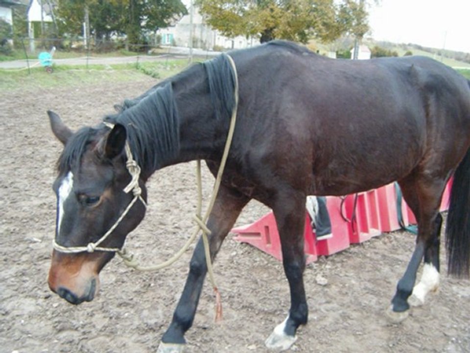 qlandestine et rafal