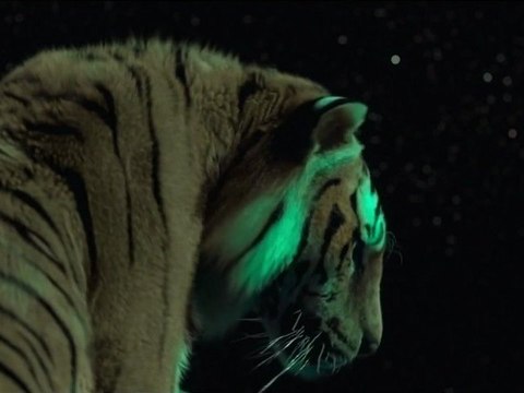 L'Odyssée de Pi (Life of Pie)- Bande-Annonce / Trailer [VOST|HD1080p]