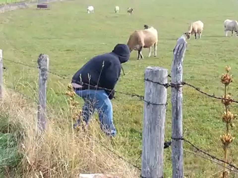 journée cepes 23/09/2012 part 2