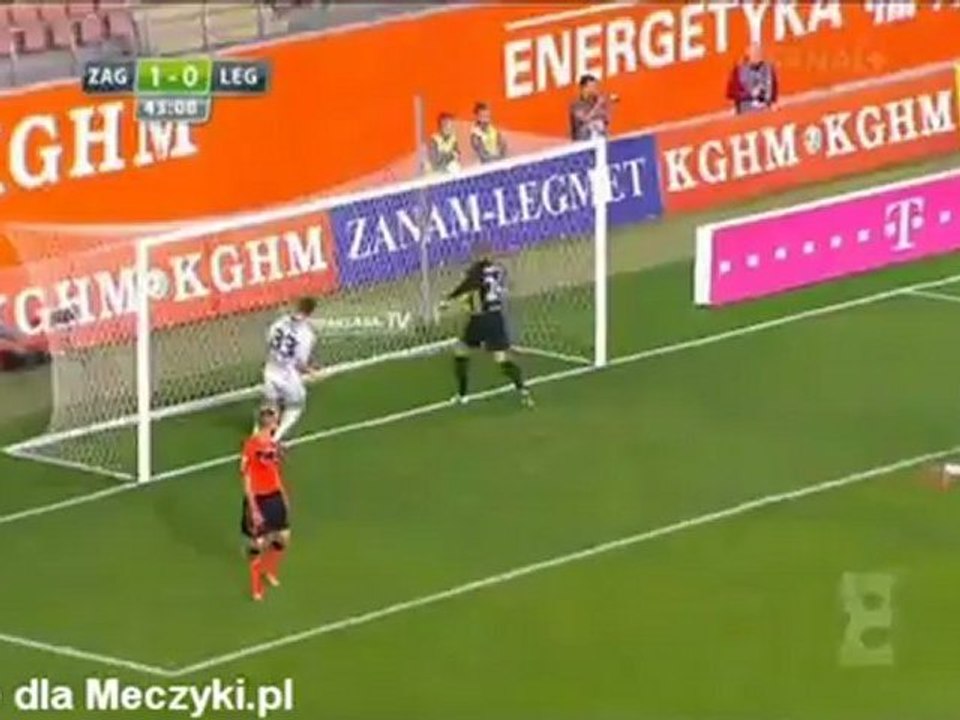 zag leg polowa
