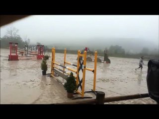 Concours avec Dédé.♥