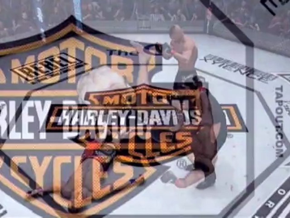 Alistair Overeem KO