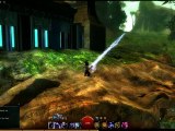 Guild Wars 2 - UNLIMITED POWER !! (Unlimited Range Bug)