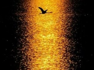 Ajda Pekkan - Severek Ayrılalım   2012 Orijinal Şarkı   Orhan Gencebay İle Bir Ömür - [Yüksek Kalite]