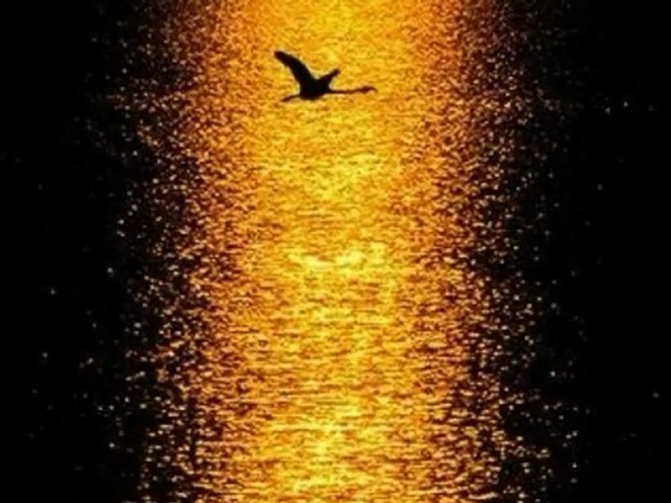 Ajda Pekkan - Severek Ayrılalım   2012 Orijinal Şarkı   Orhan Gencebay İle Bir Ömür - [Yüksek Kalite]