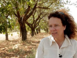 Το Flix στα γυρίσματα του "Chess Games" της Ολγας Μαλέα