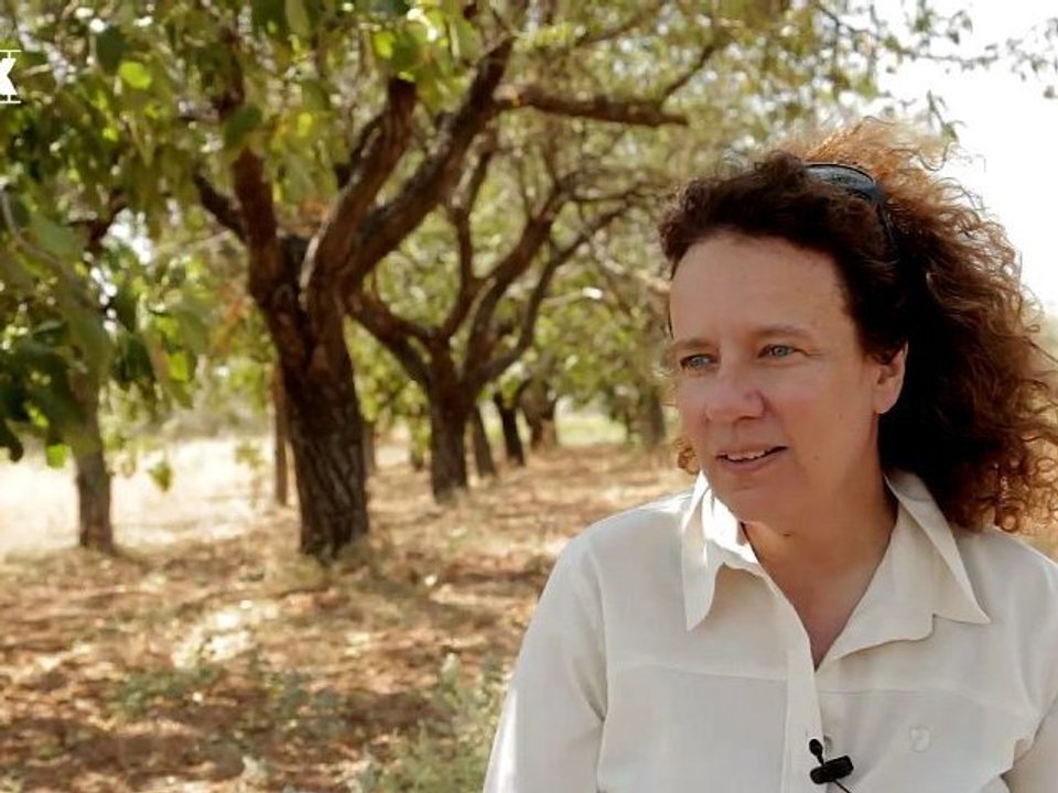 Το Flix στα γυρίσματα του "Chess Games" της Ολγας Μαλέα