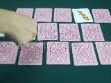 Spanish Fournier-COLD DECKS- MARKED CARDS FOR CONTACT LENSES-POKER CARD ANALYSER
