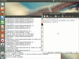 Tutorial basic Bash Command in Linux Ubuntu 12.04 lts