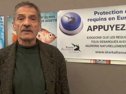 Contre la découpe des ailerons de requins