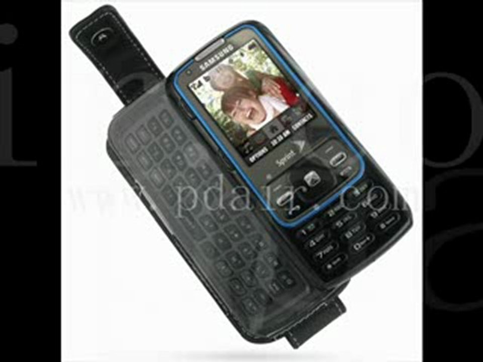 Samsung RANT Accessory: PDair Leather Case