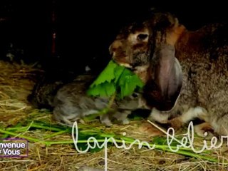 Bienvenue Chez Vous du 26 septembre 2012 Partie 1