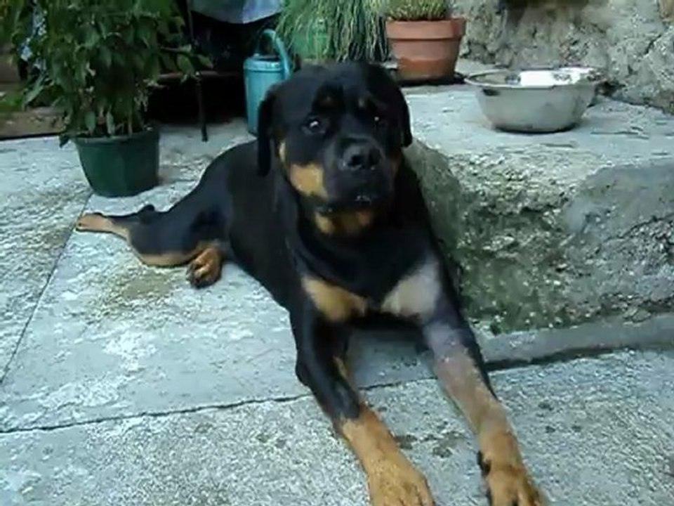 15 jours apres l'op et 1ere sortie 001