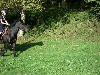 saut de vache ac filou