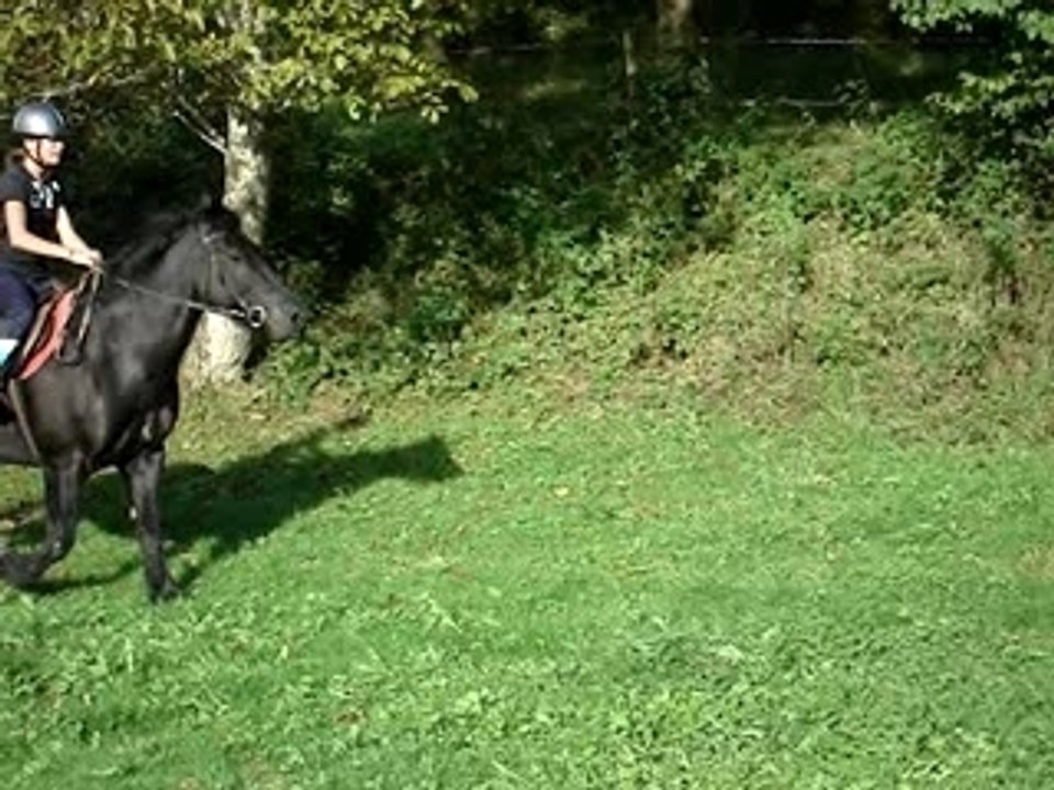 saut de vache ac filou