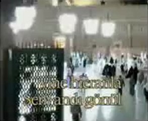 gönlümün gülü KENAN SAVUN